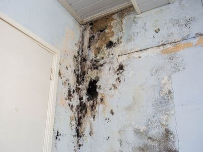 About DryCascade - water damage restoration experts in El Cajon